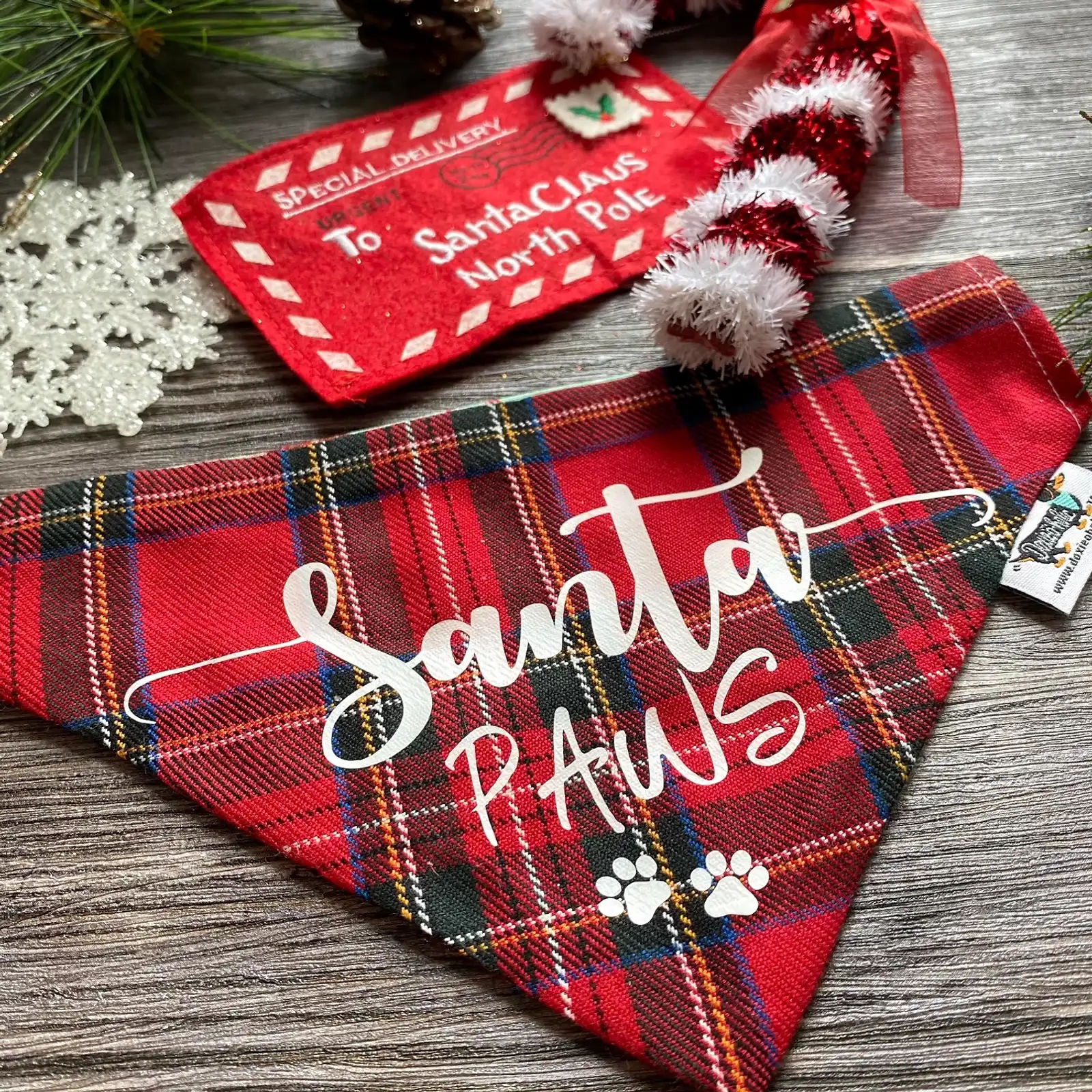 Thumbnail: Santa Paws